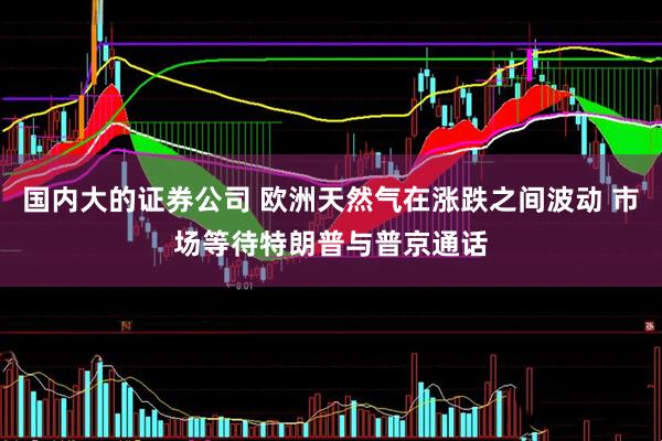 国内大的证券公司 欧洲天然气在涨跌之间波动 市场等待特朗普与普京通话