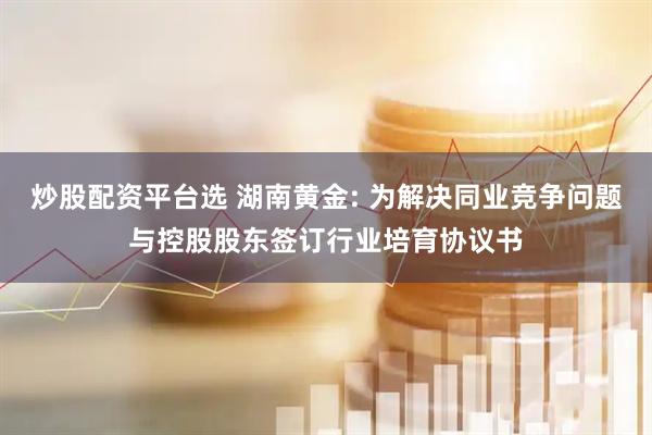 炒股配资平台选 湖南黄金: 为解决同业竞争问题与控股股东签订行业培育协议书