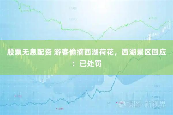 股票无息配资 游客偷摘西湖荷花，西湖景区回应：已处罚